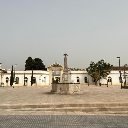 Beautiful Brand New 2 Bedroom Flat With Terrace Málaga Exteriör bild